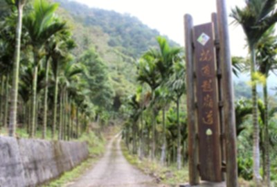 安通越嶺道 探訪百年古道之境